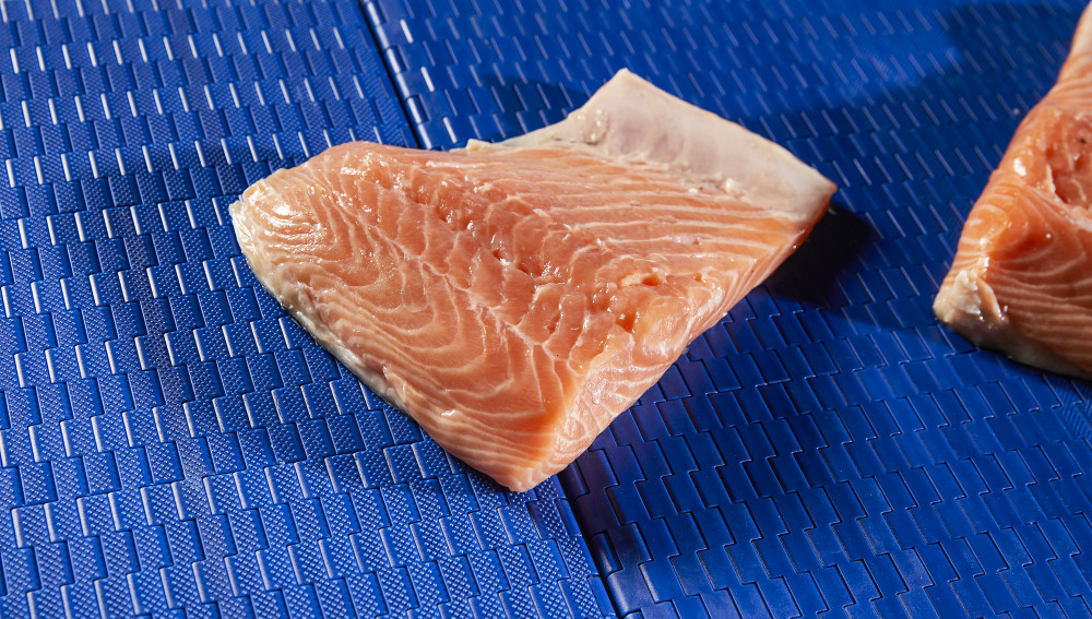 Modular belts for bulk food products transport